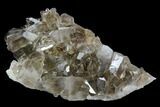 Smoky Quartz Crystal Cluster - Brazil #124580-1